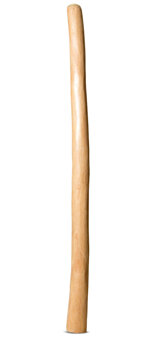 Medium Size Natural Finish Didgeridoo (TW1291)